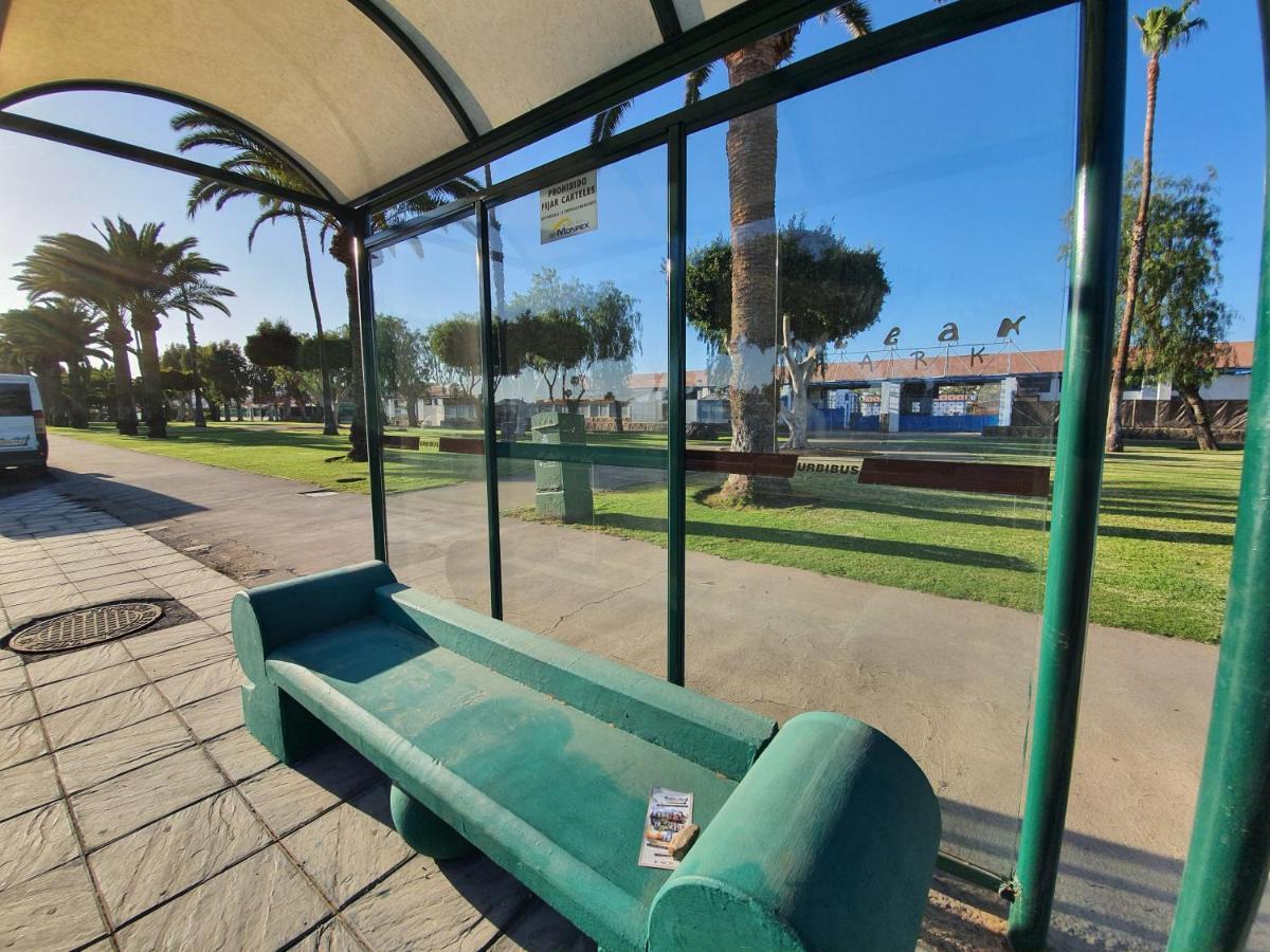 Pool & Wifi Free Shared Flat Private Room By Ocean Park Maspalomas  Ngoại thất bức ảnh